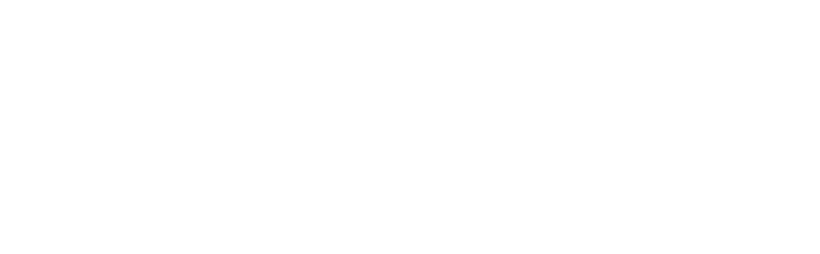Landbjørn